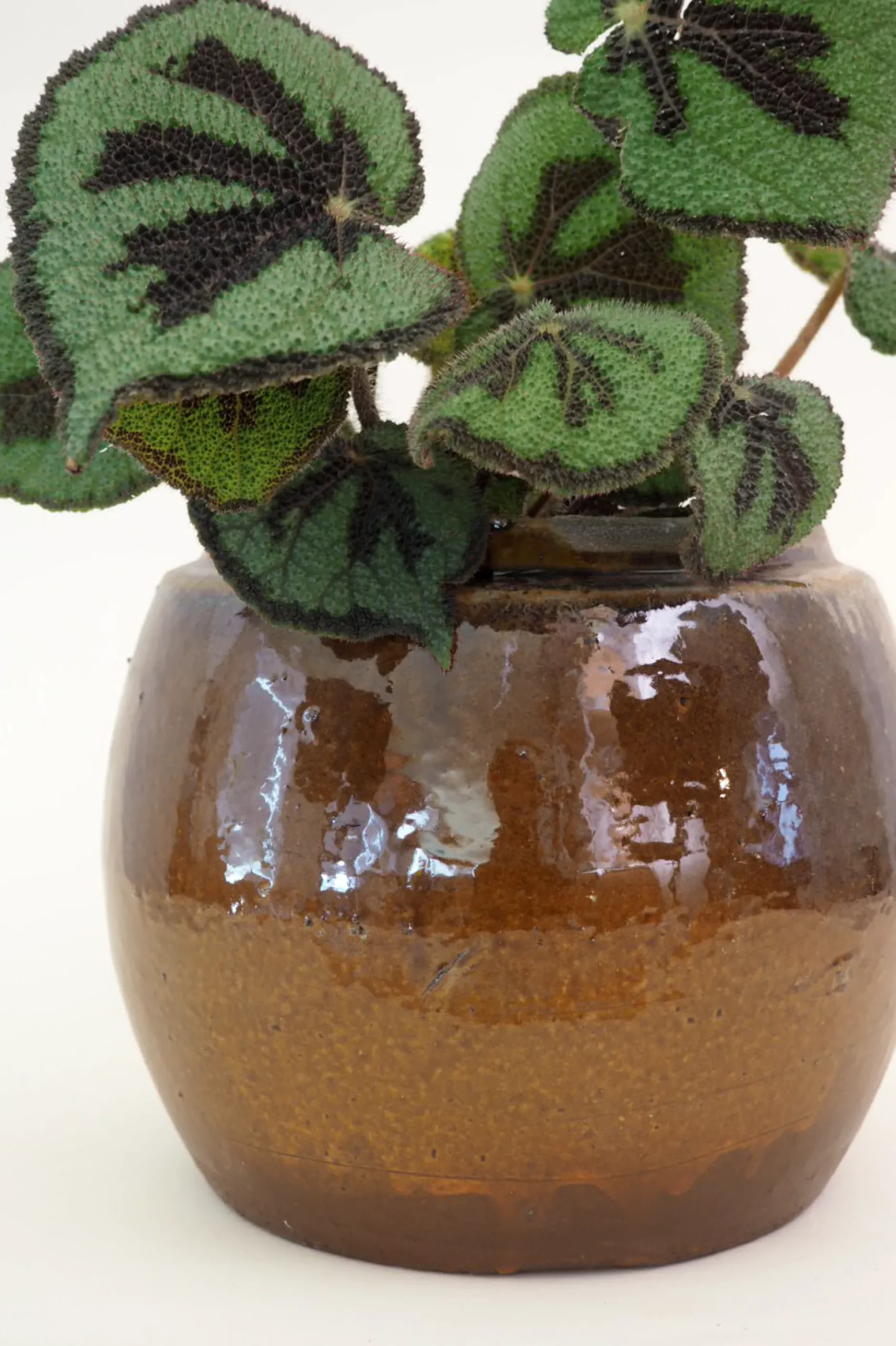 Glaserede Krukker|Mellem^PLANT Berit krukken, brun ø 22 cm