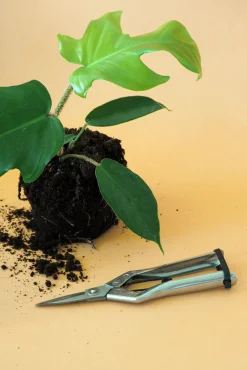 Værktøj Og Redskaber^PLANT Beskærersaks