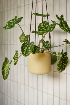 Hængekrukker Og Ophæng^PLANT Bloom hængekrukke, sand ø25