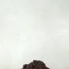 Jord Og Omplantning|Bonsai^PLANT Bonsai jord