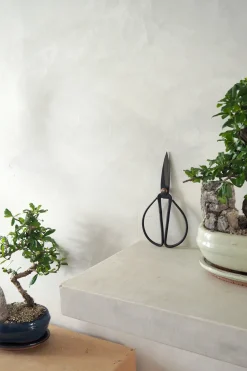 Værktøj Og Redskaber|Bonsai^PLANT Bonsai saks, stor