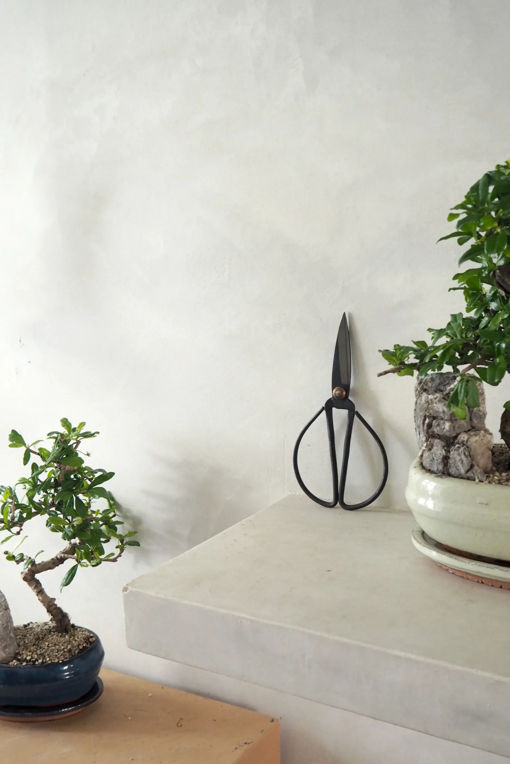 Værktøj Og Redskaber|Bonsai^PLANT Bonsai saks, stor