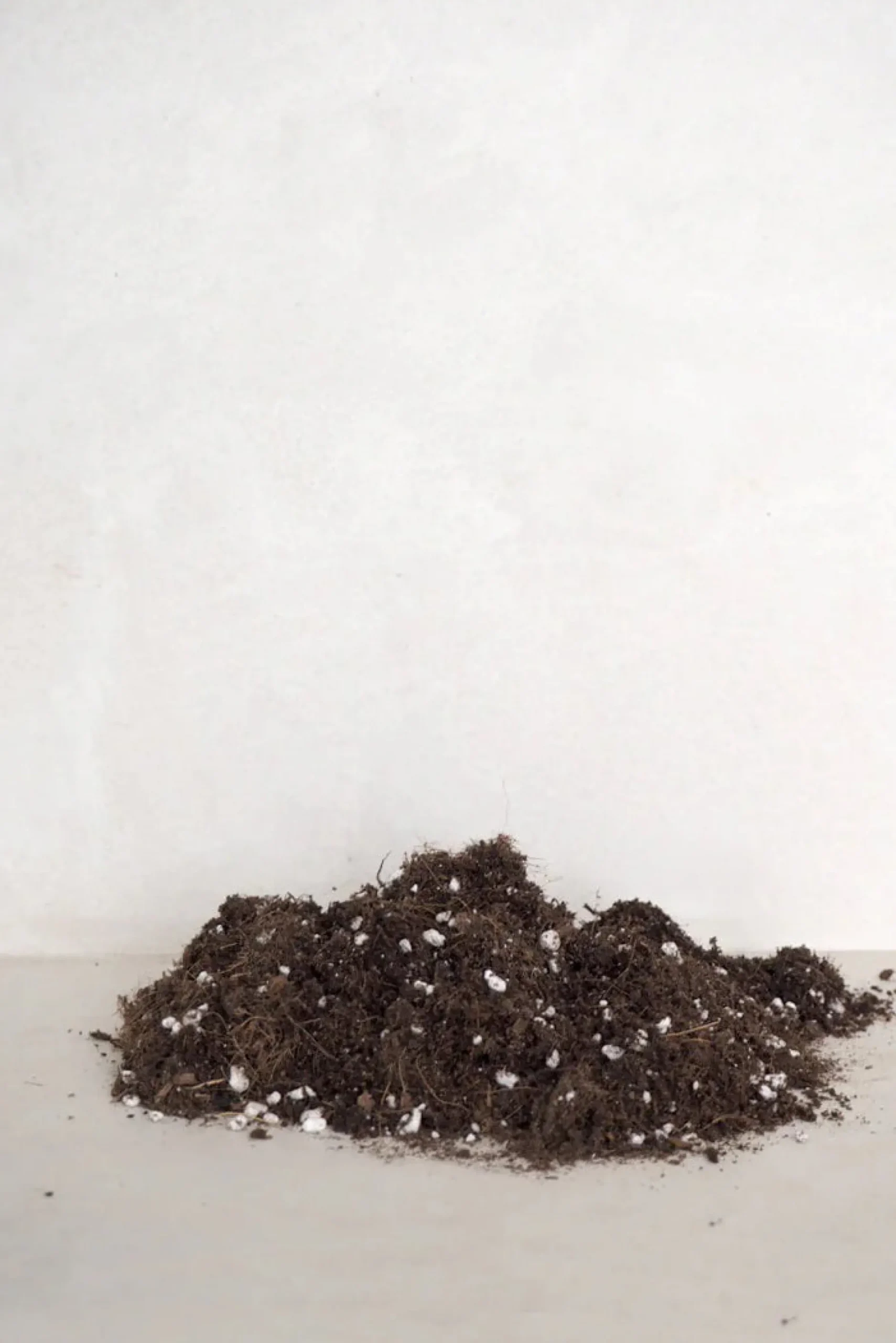 Plantepleje-Kits|Plantepleje-Kits^PLANT Bundle : Essential epleje