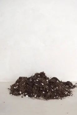 Plantepleje-Kits|Plantepleje-Kits^PLANT Bundle : Pro omning