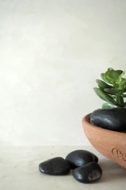 Plantepleje-Kits|Plantepleje-Kits^PLANT Bundle : Pro omning