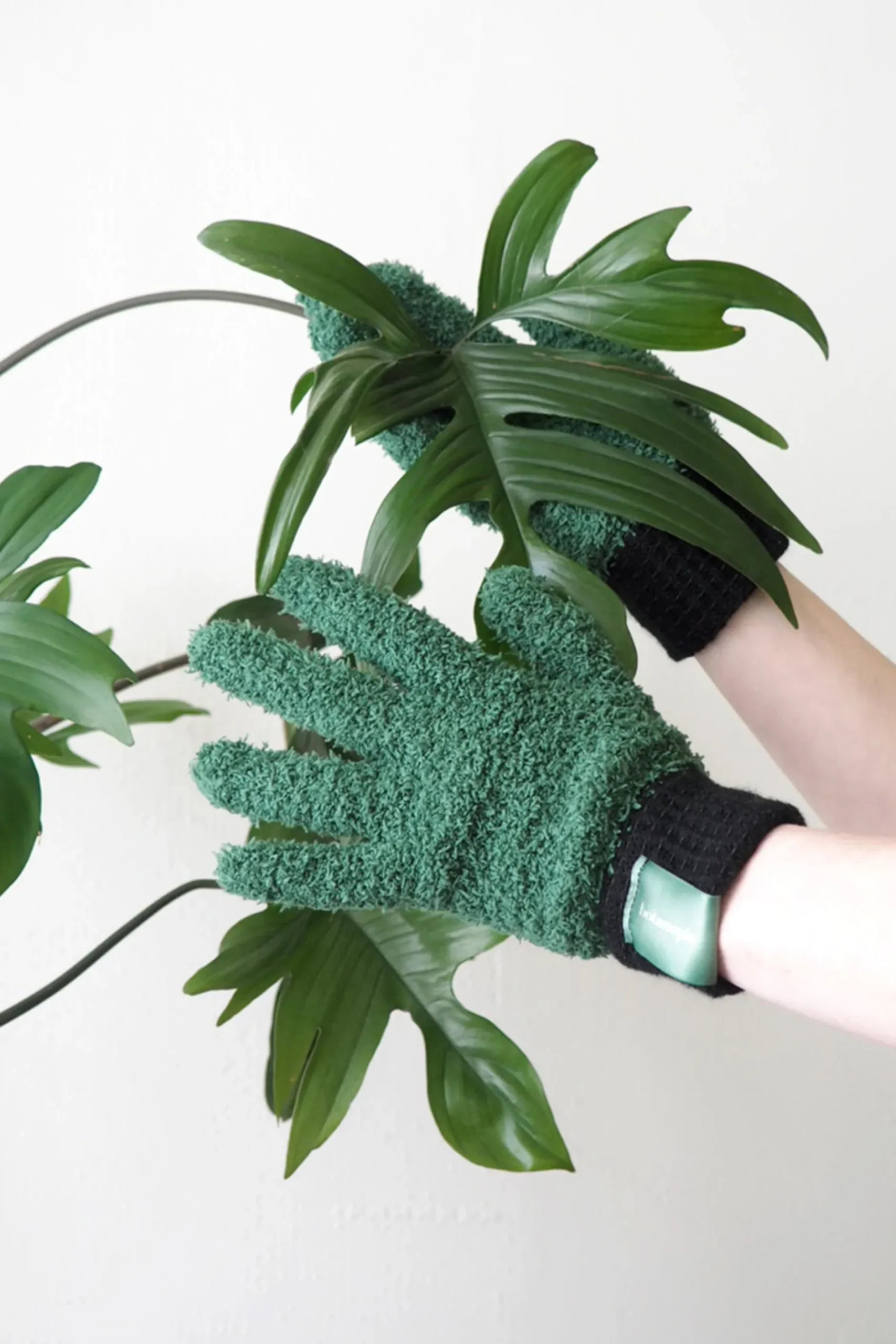 Plantepleje-Kits|Plantepleje-Kits^PLANT Bundle : Pro epleje