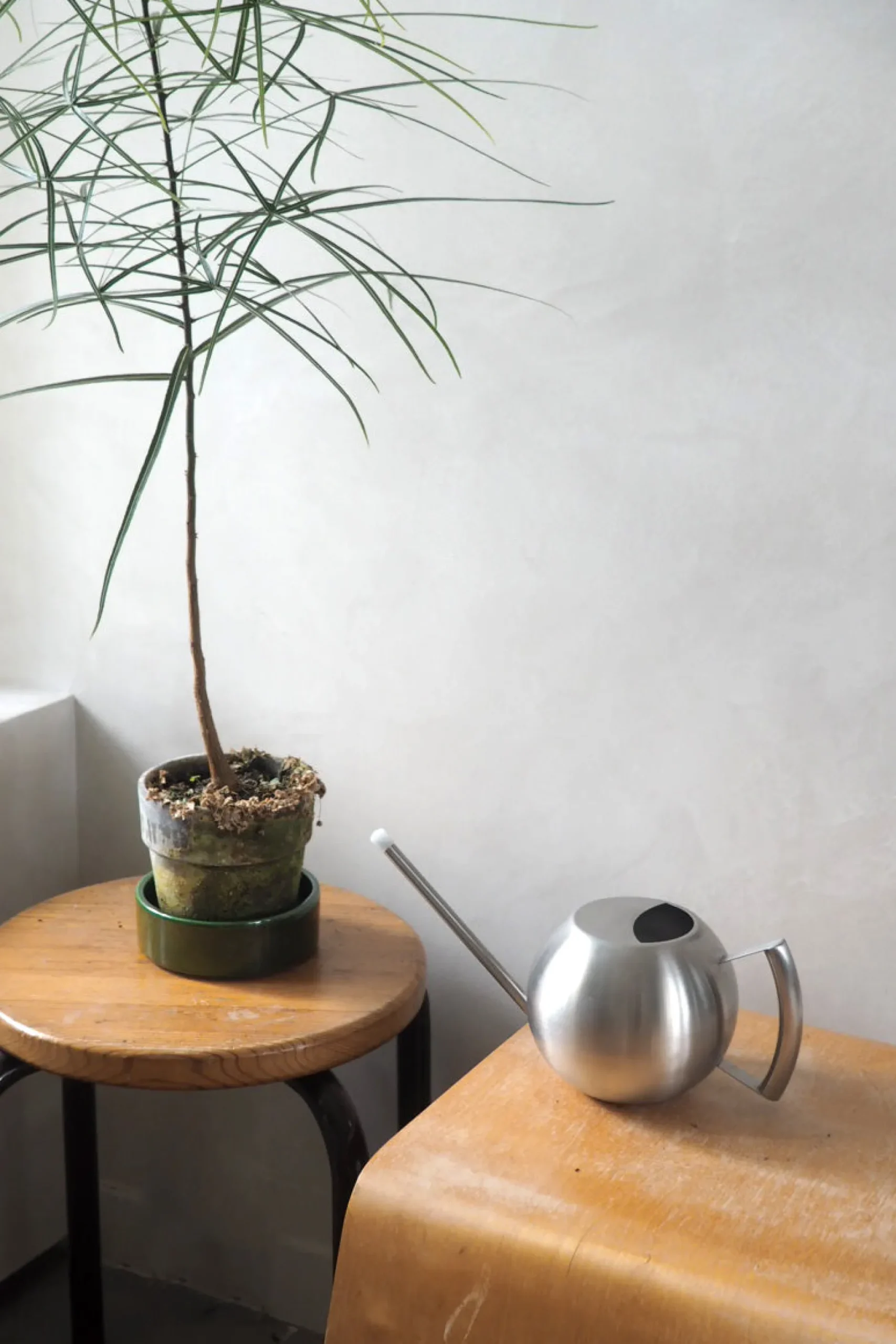 Plantepleje-Kits|Plantepleje-Kits^PLANT Bundle: Essential vanding