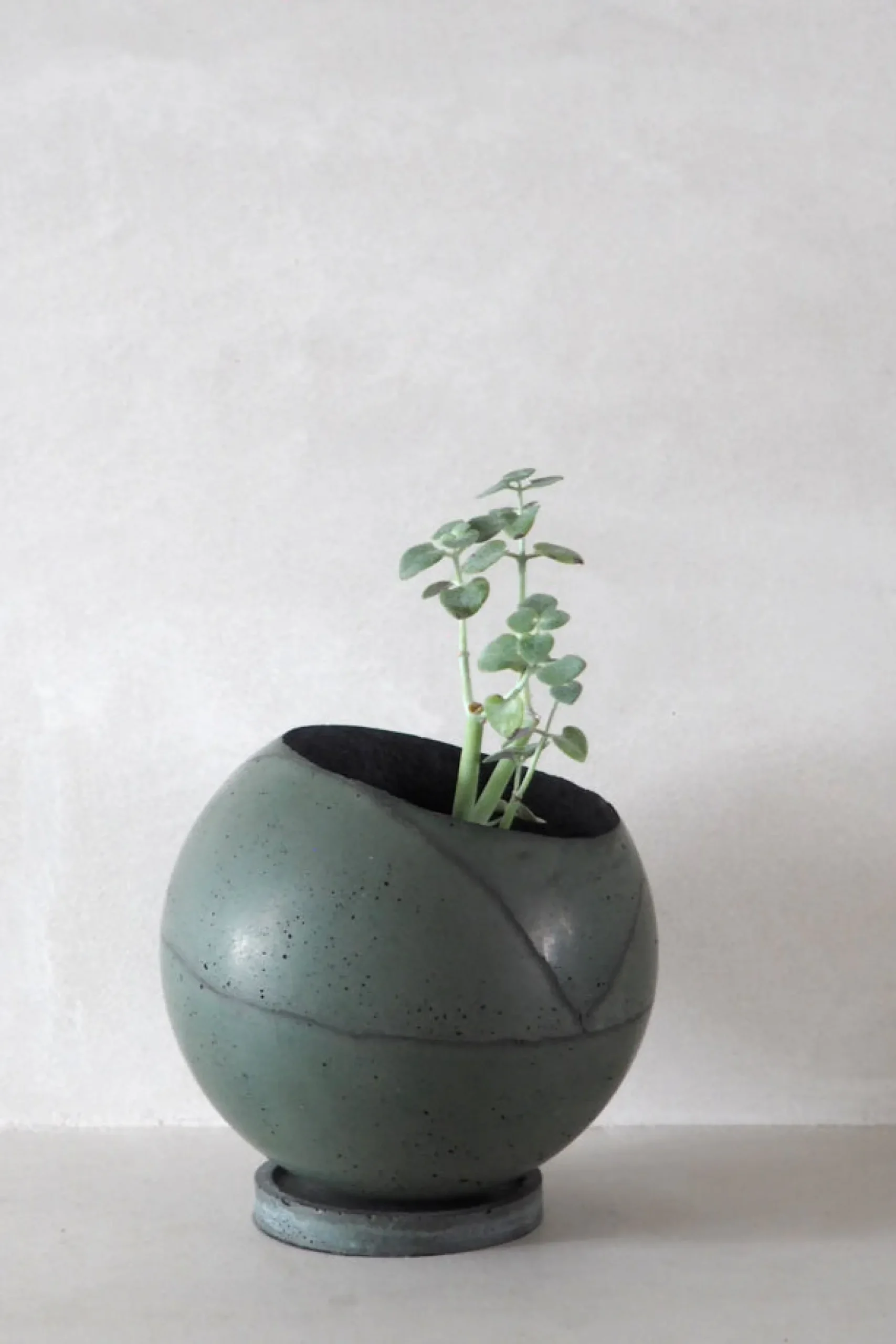 Mellem|Lille^PLANT Dirty Roots - Tau Ceti
