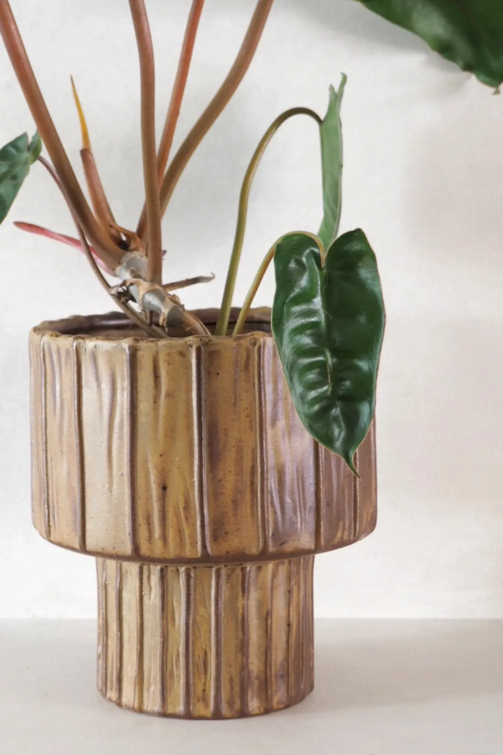 Glaserede Krukker|Mellem^PLANT Elitta krukke