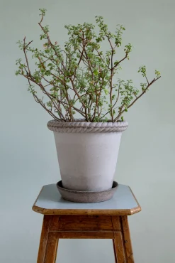 Terrakotta-Krukker|Stor^PLANT Emilia krukke, raw grey