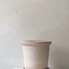 Terrakotta-Krukker|Stor^PLANT Emilia krukke, raw rosa