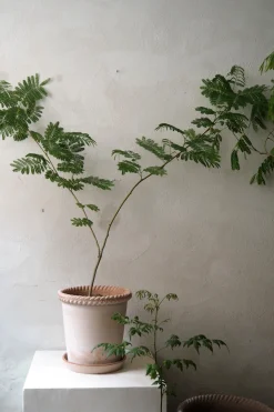 Terrakotta-Krukker|Stor^PLANT Emilia krukke, raw rosa