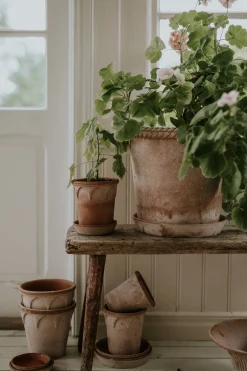Terrakotta-Krukker|Stor^PLANT Emilia krukke, raw rosa