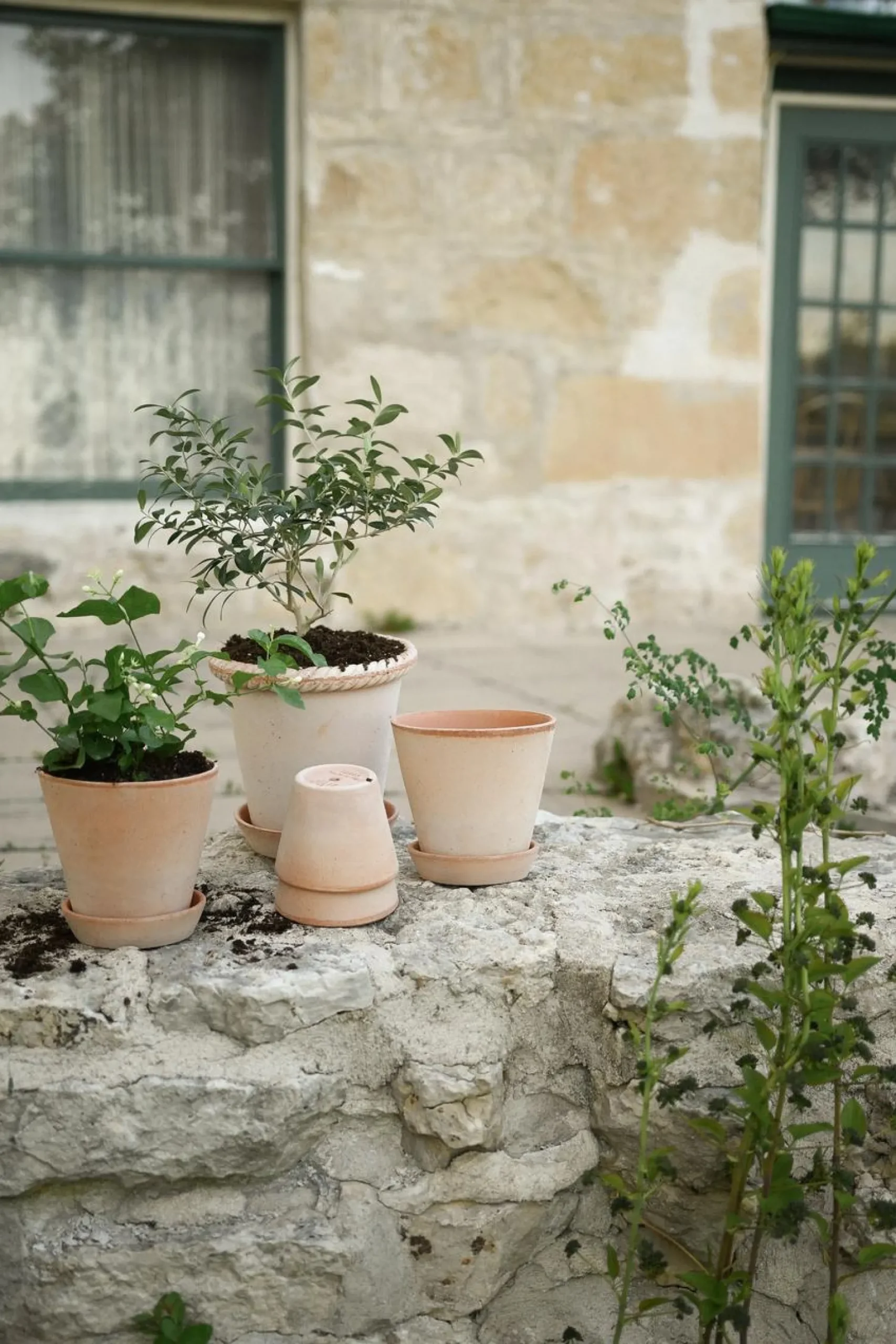 Terrakotta-Krukker|Stor^PLANT Emilia krukke, raw rosa