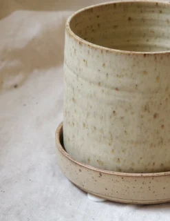 Pottefødder Og Filtdutter^PLANT Filtdutter, medium