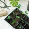 Frø, Spiring Og Altanliv^PLANT Forspiringsbakke - W.E.T Seed Pot30