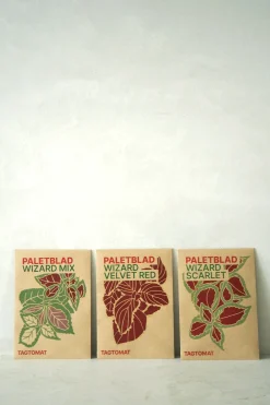 Frø, Spiring Og Altanliv^PLANT Frø - Paletblad, Wizard Velvet Red