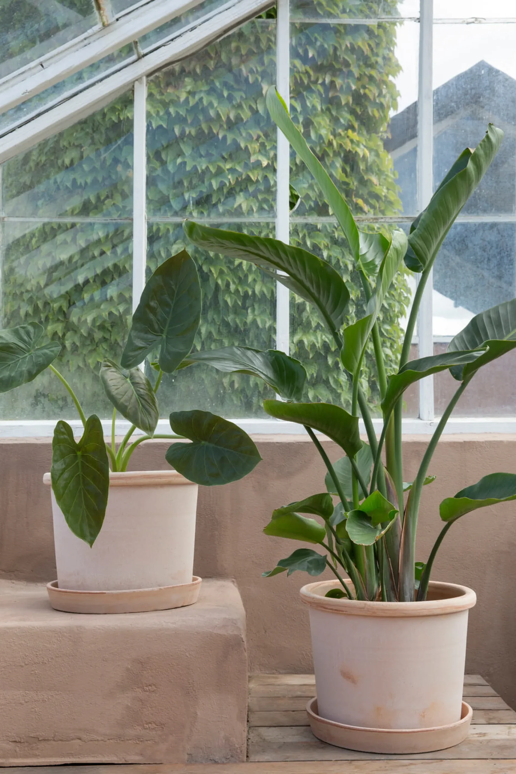 Terrakotta-Krukker|Stor^PLANT Galestro gulvkrukke, raw rosa