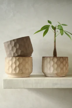 Frø, Spiring Og Altanliv|Glaserede Krukker^PLANT Gro krukke