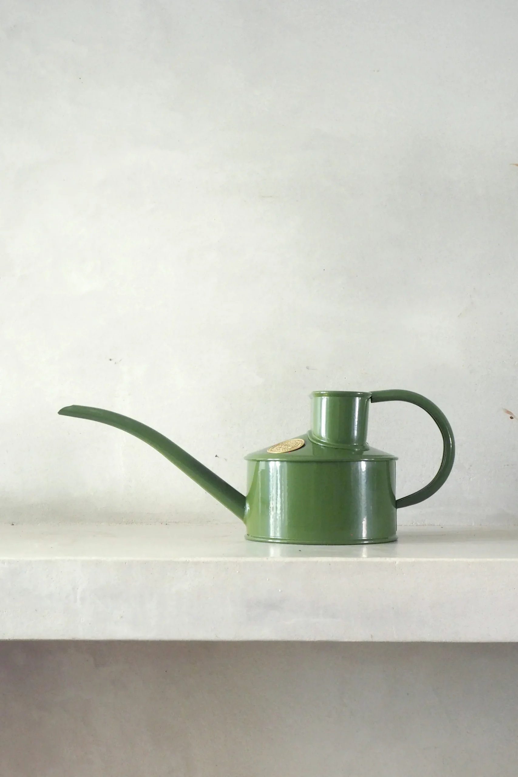Vandkander^PLANT HAWS Vandkande, fern green, 0,5 L