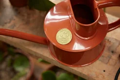 Vandkander^PLANT HAWS Vandkande, terracotta orange, 0,5 L