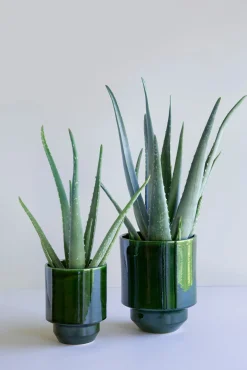 Glaserede Krukker|Terrakotta-Krukker^PLANT Hoff krukke, glaseret, Grøn