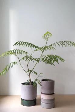 Terrakotta-Krukker|Hoff Krukke Serien^PLANT Hoff krukke, raw grey
