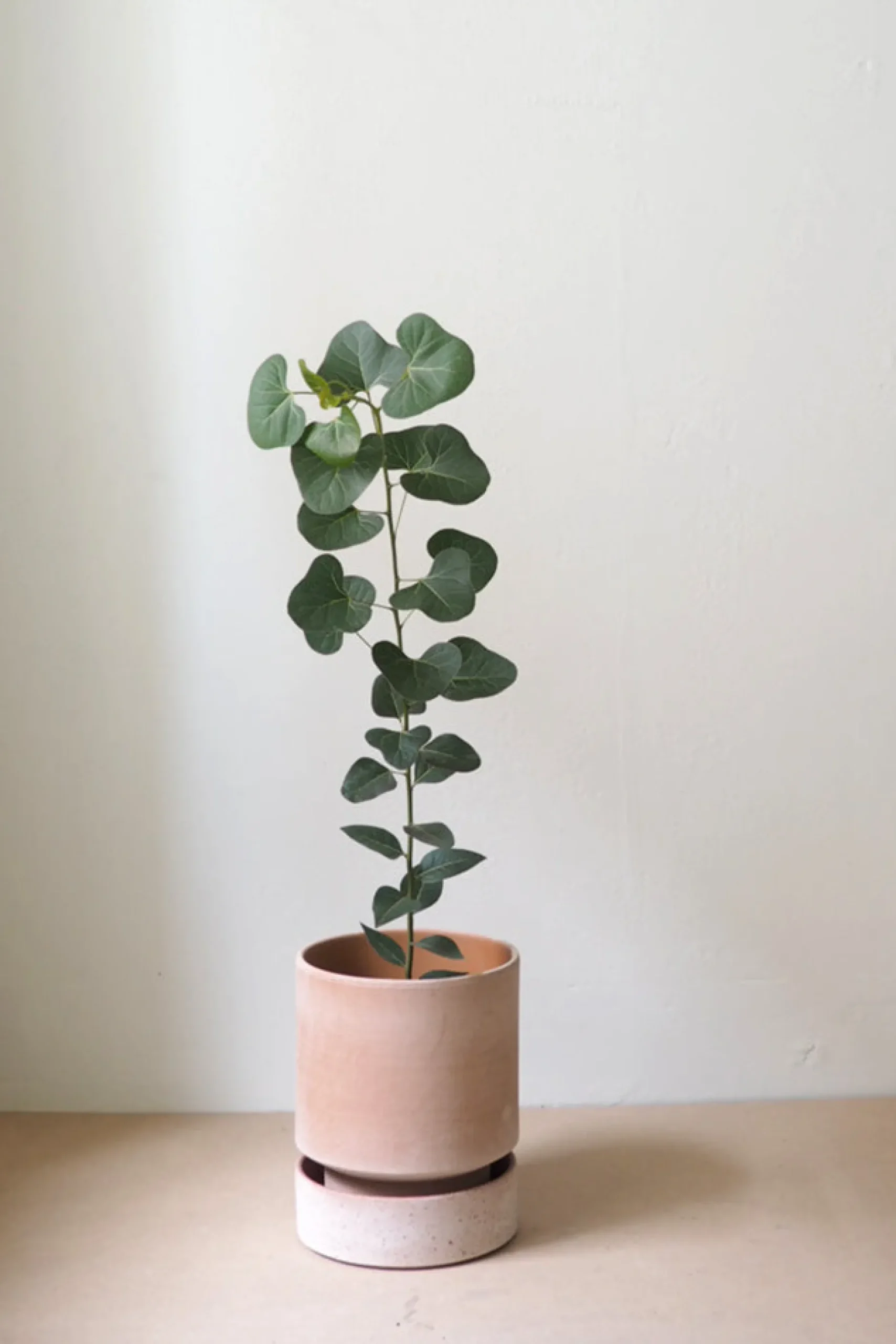 Terrakotta-Krukker|Hoff Krukke Serien^PLANT Hoff krukke, raw rosa