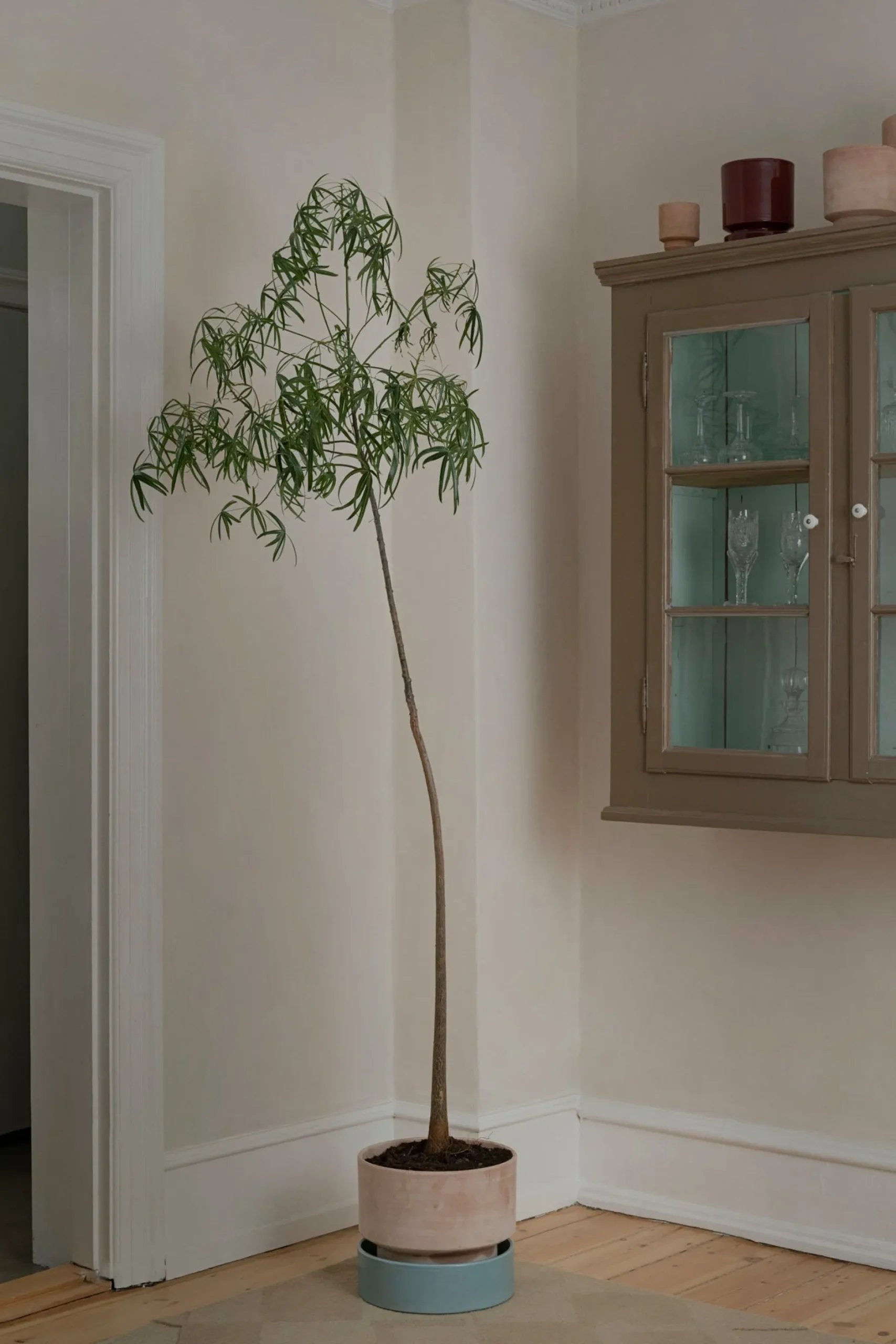 Terrakotta-Krukker|Hoff Krukke Serien^PLANT Hoff krukke, raw rosa
