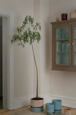 Terrakotta-Krukker|Hoff Krukke Serien^PLANT Hoff krukke, raw rosa