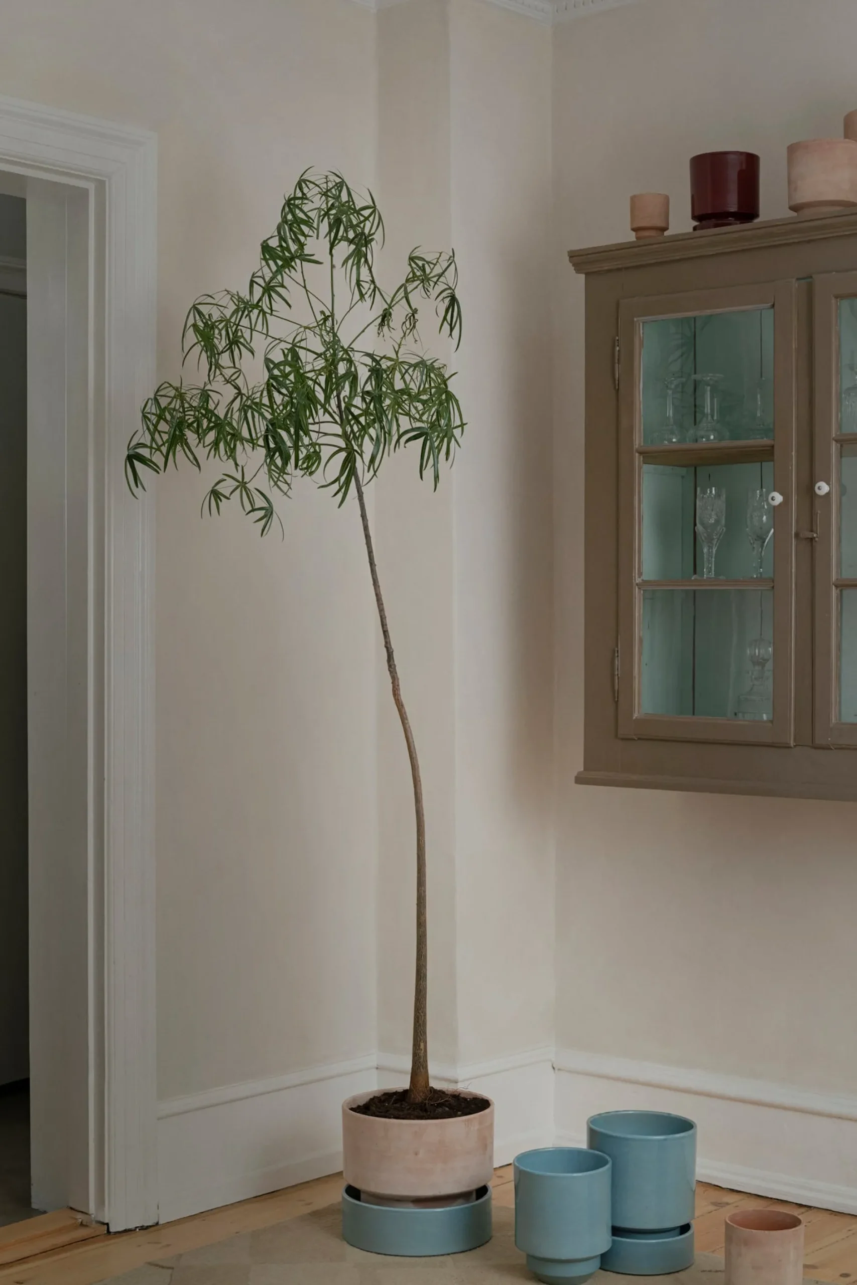 Underskåle|Hoff Krukke Serien^PLANT Hoff krukke, raw rosa + Misty Blue underskål