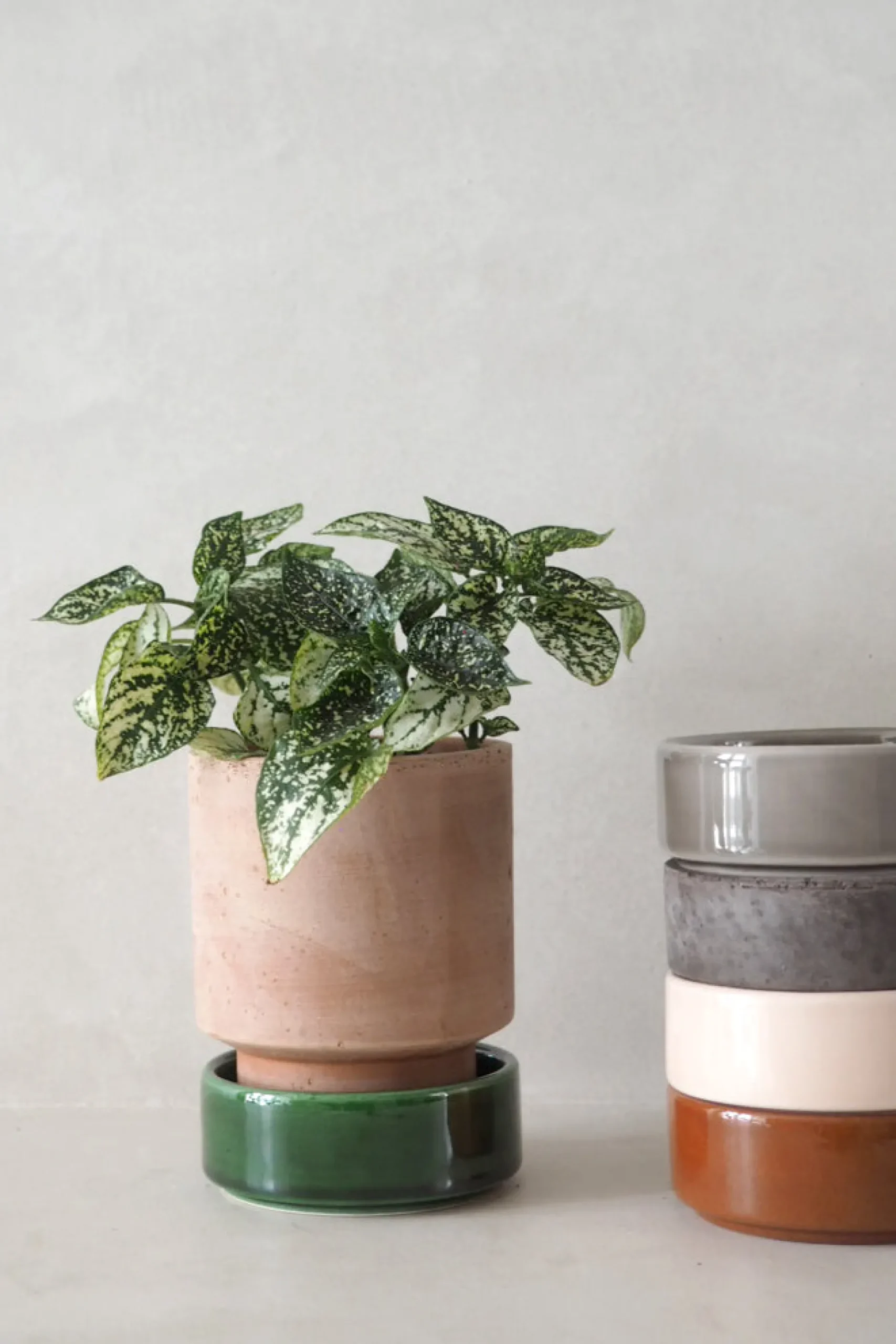 Terrakotta-Krukker|Hoff Krukke Serien^PLANT Hoff krukke, raw rosa + rust underskål