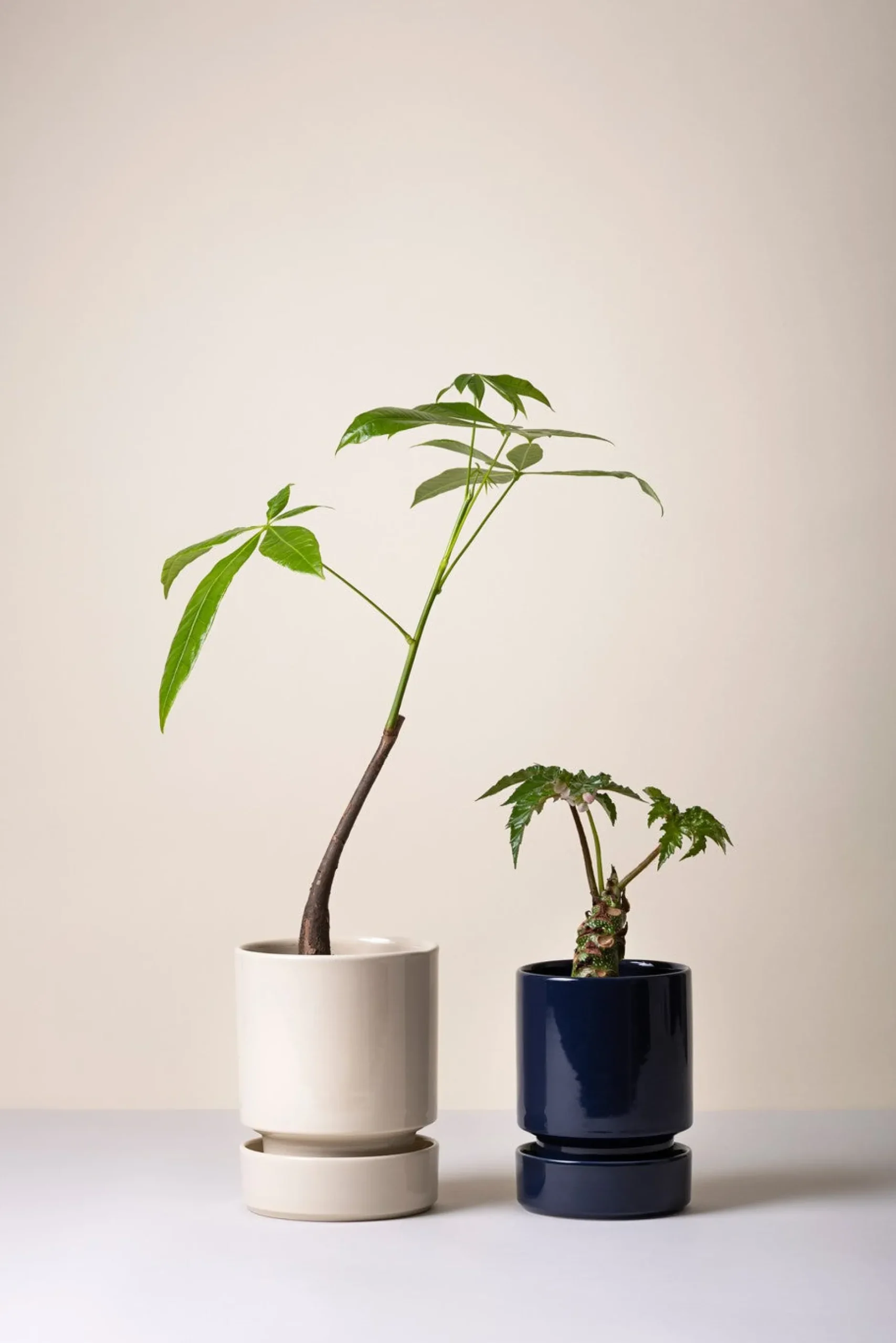 Terrakotta-Krukker|Hoff Krukke Serien^PLANT Hoff krukke, Sandstone