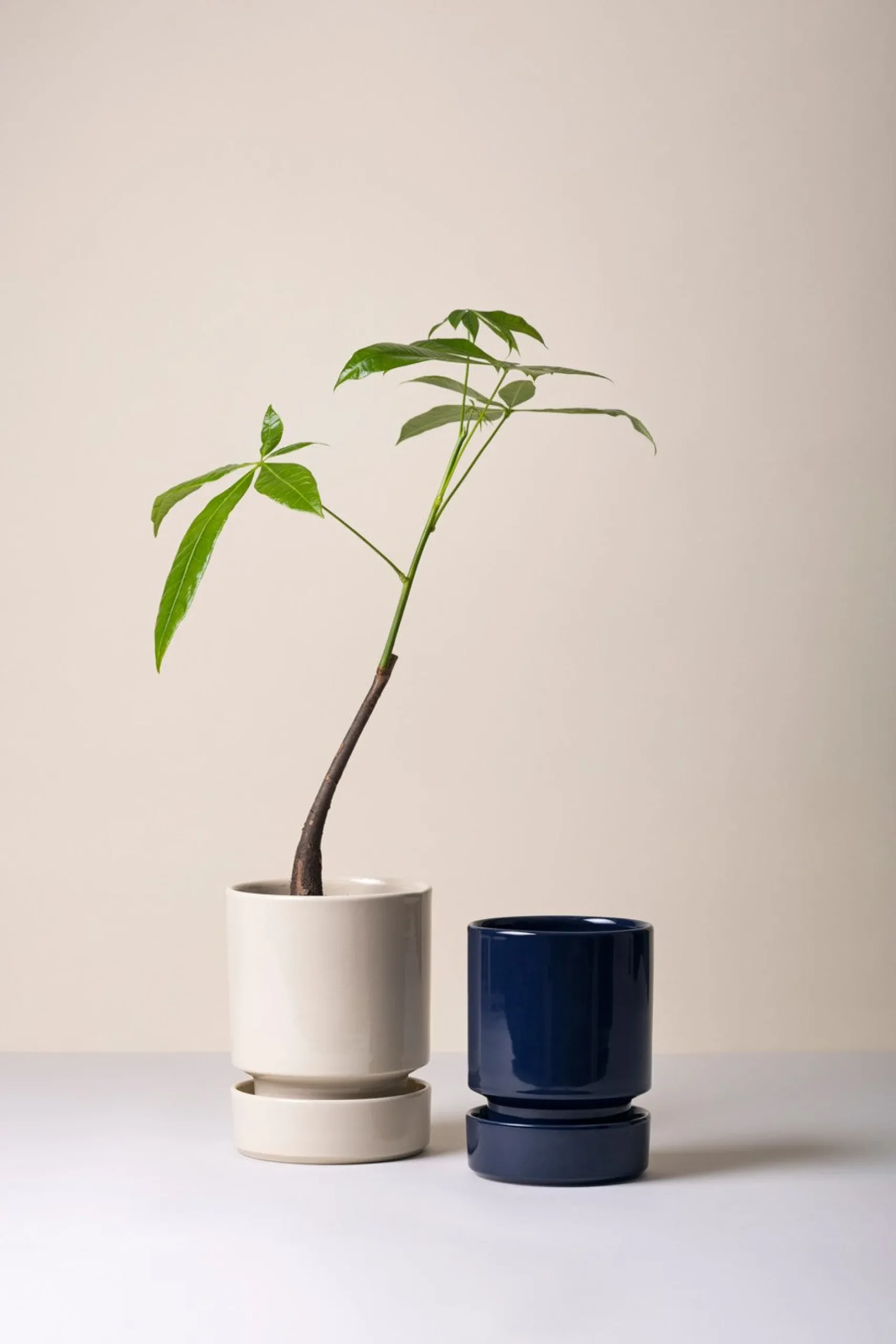 Terrakotta-Krukker|Hoff Krukke Serien^PLANT Hoff krukke, Sapphire Blue