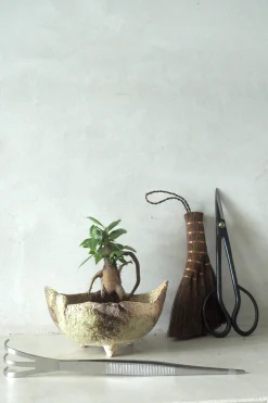 Værktøj Og Redskaber|Bonsai^PLANT Japansk bonsai krukke, håndlavet, brun