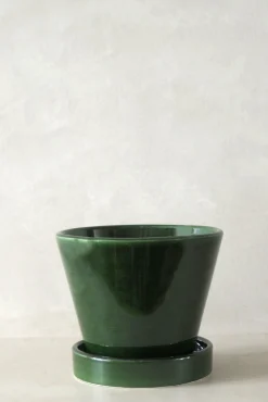 Mellem|Lille^PLANT Julie - Emerald Green