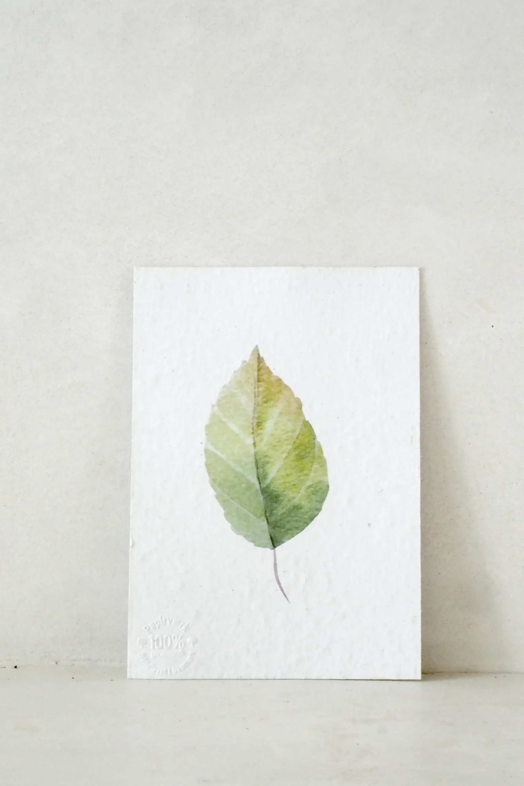 Bøger Og Kort^PLANT Kort - blad no. 3 - 100% genanvendt papir