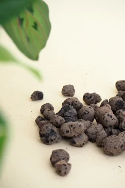 Frø, Spiring Og Altanliv|Jord Og Omplantning^PLANT Leca