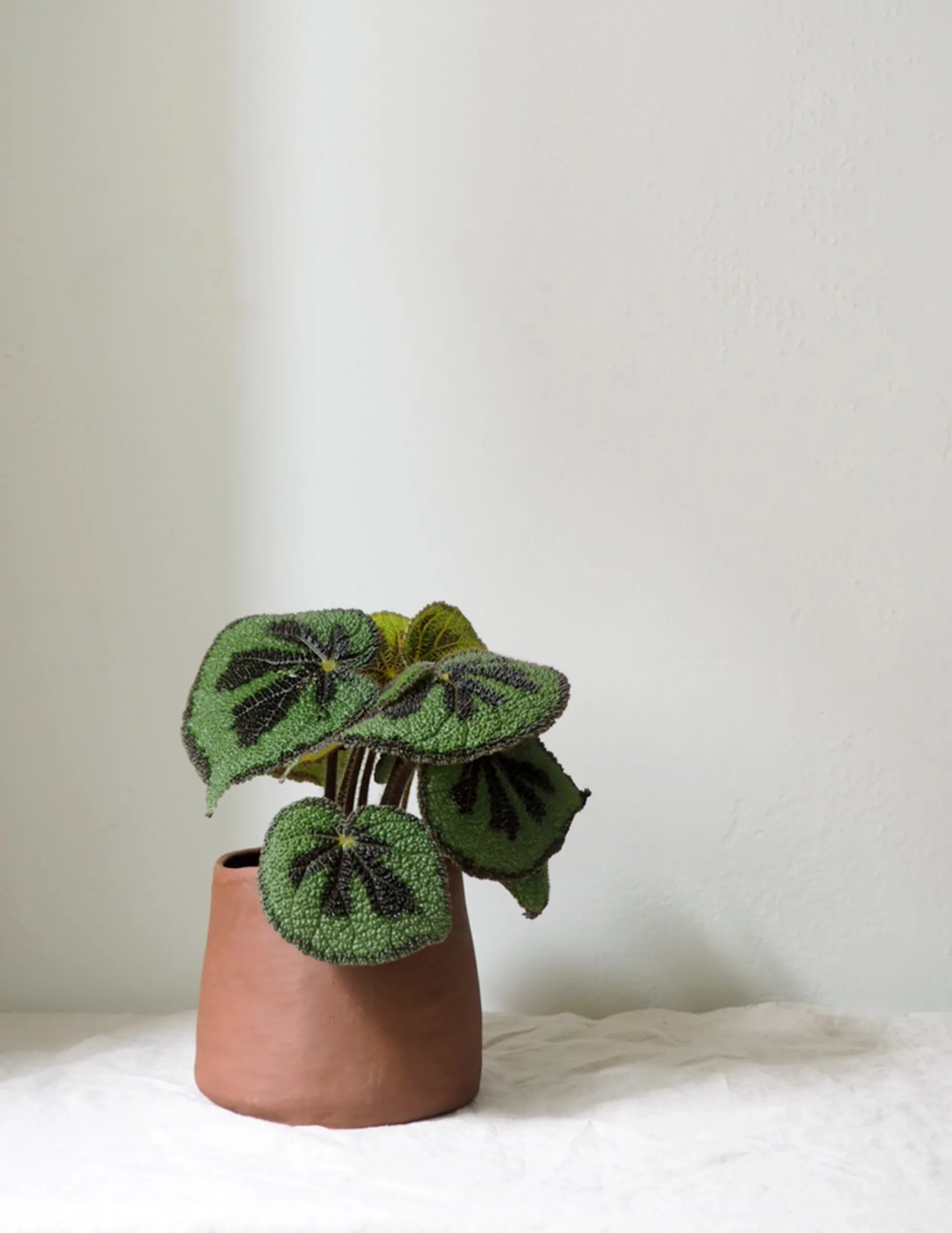 Håndlavede Krukker^PLANT Maitoinen krukke