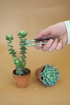 Planter Og Værktøj Til Terrarier|Planter Og Værktøj Til Terrarier^PLANT Mini beskærersaks