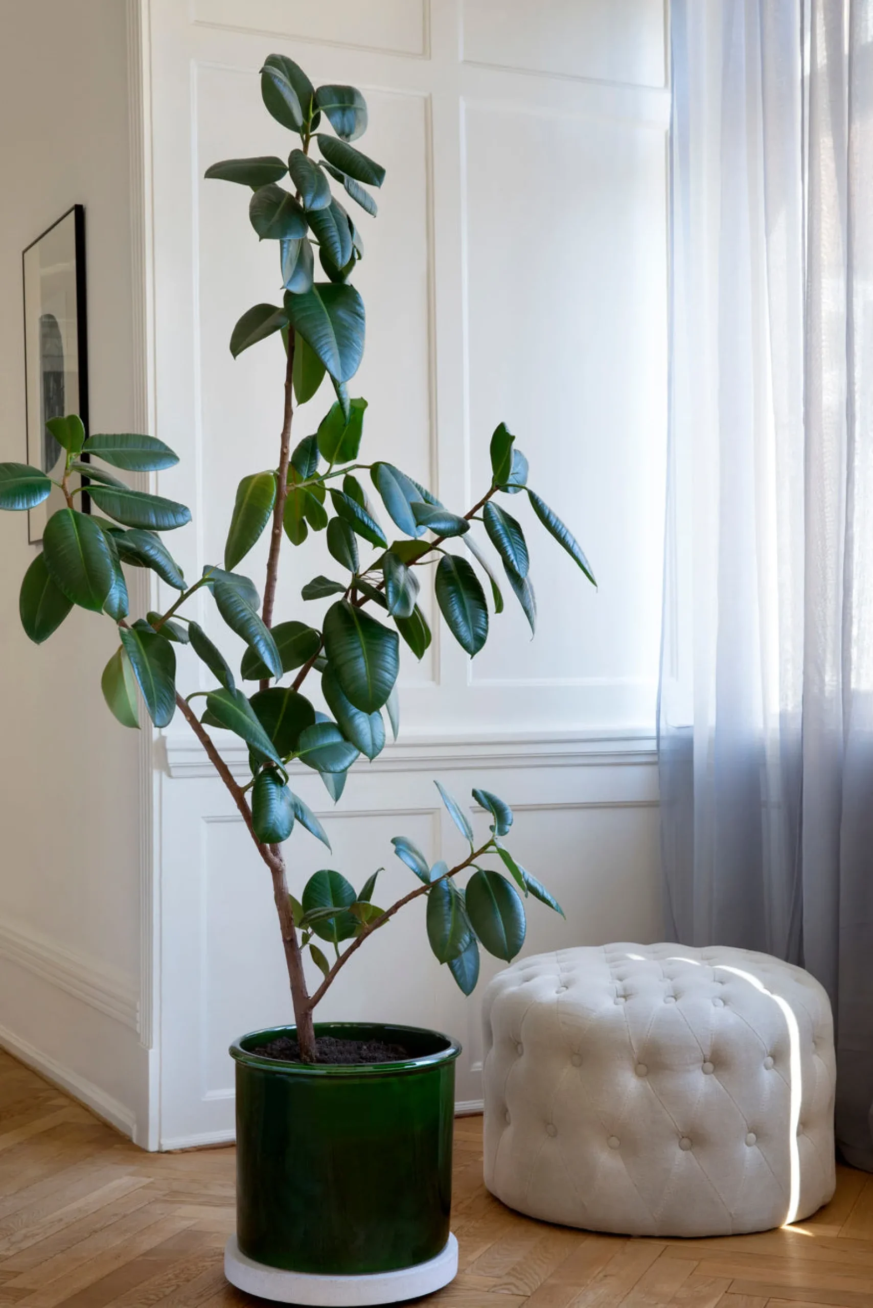 Terrakotta-Krukker|Stor^PLANT Modena gulvkrukke - Emerald Green