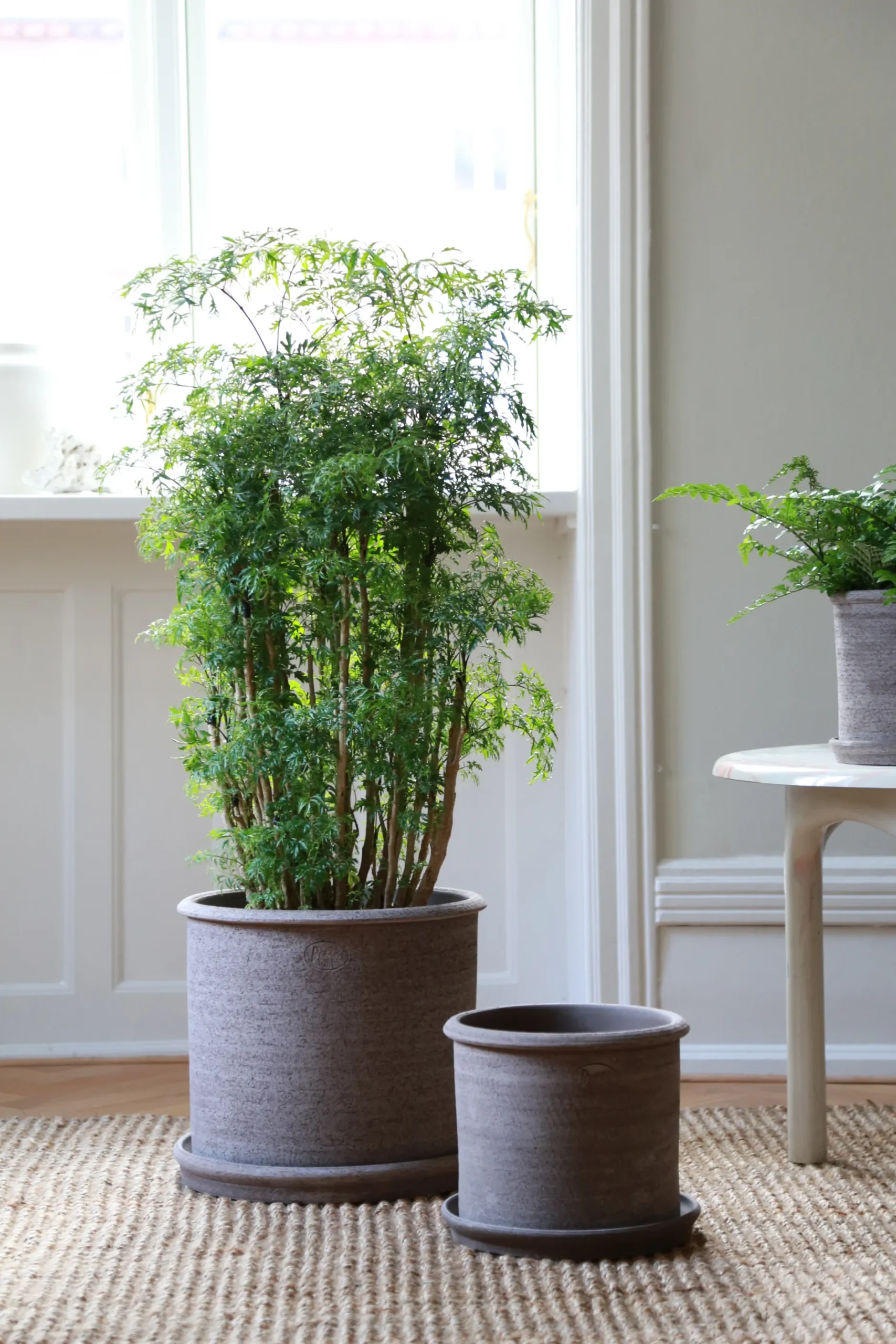 Terrakotta-Krukker|Stor^PLANT Modena gulvkrukke - raw grey