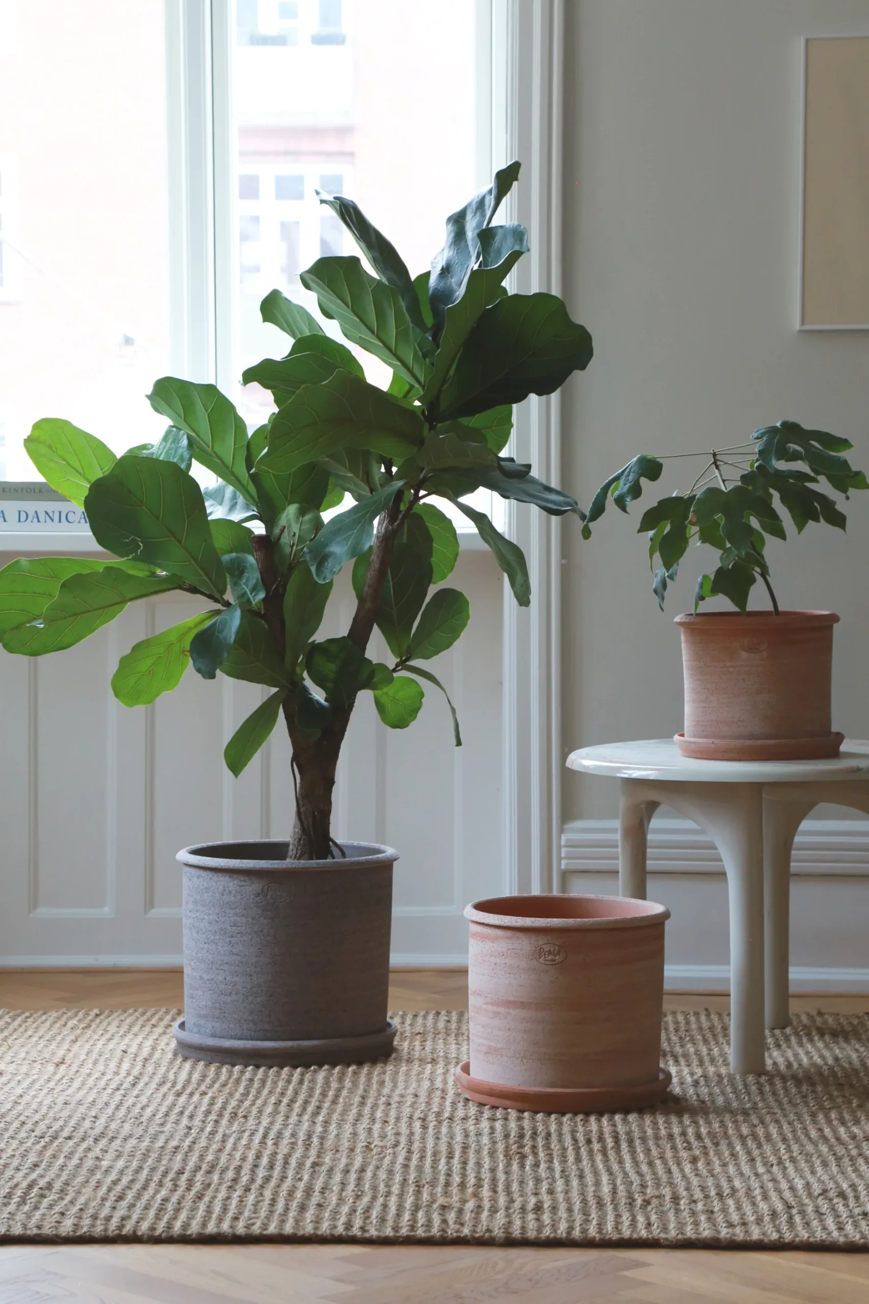 Terrakotta-Krukker|Stor^PLANT Modena gulvkrukke - raw grey