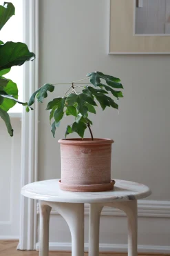 Terrakotta-Krukker|Stor^PLANT Modena gulvkrukke - raw rosa