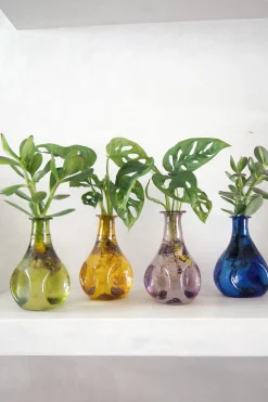 Planter I Vand|Tropiske Planter^PLANT Monstera adansonii i vase, rosa