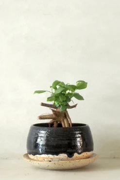 Håndlavede Krukker|Glaserede Krukker^PLANT Nina Frigg medium no. 4