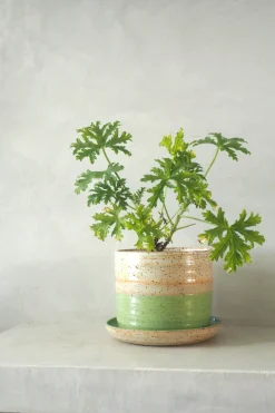 Håndlavede Krukker|Glaserede Krukker^PLANT Nina Frigg stor no. 7