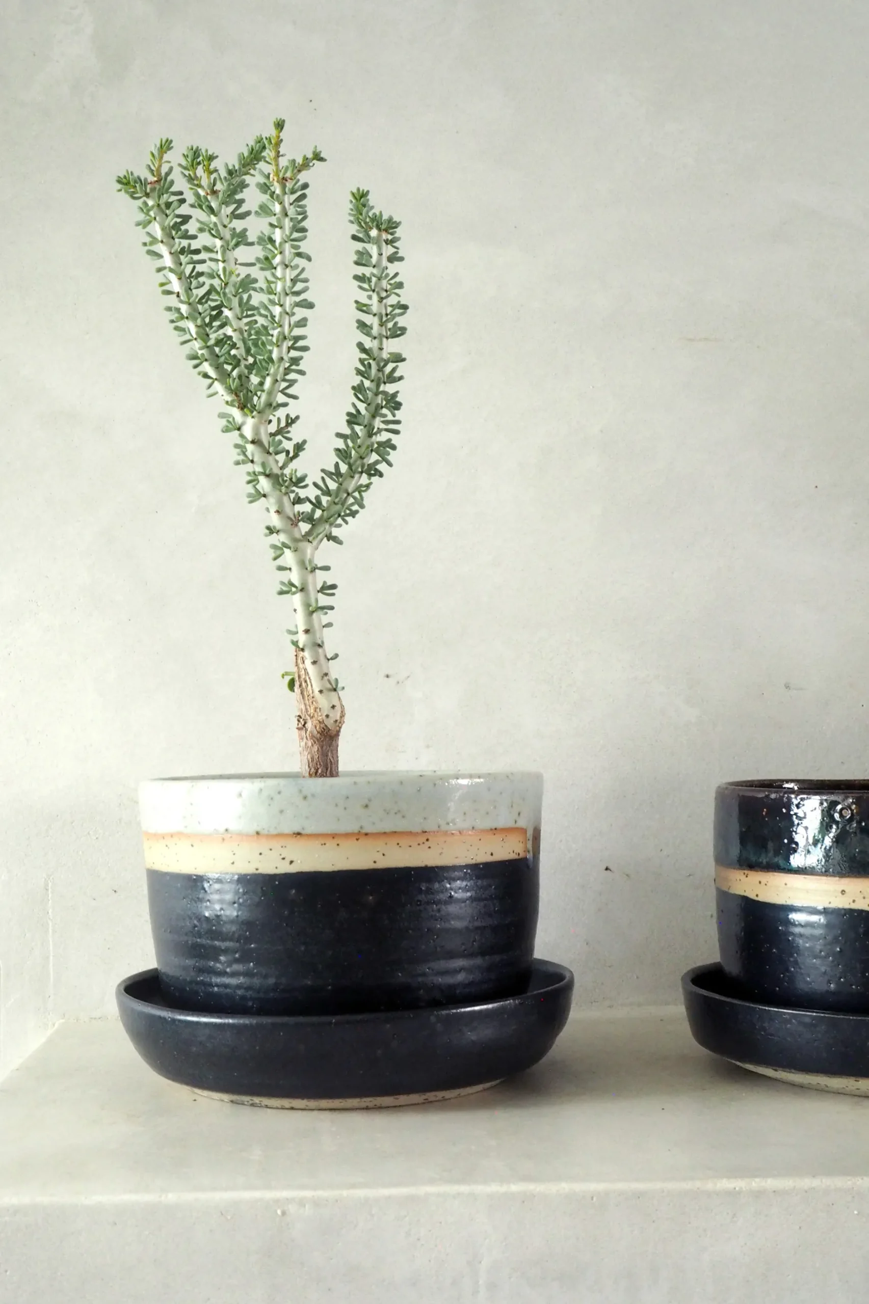 Håndlavede Krukker|Glaserede Krukker^PLANT Nina Frigg stor no. 1