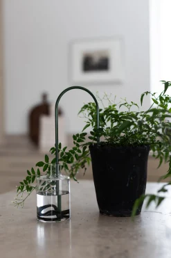 Selvvanding^PLANT Straws, Grøn