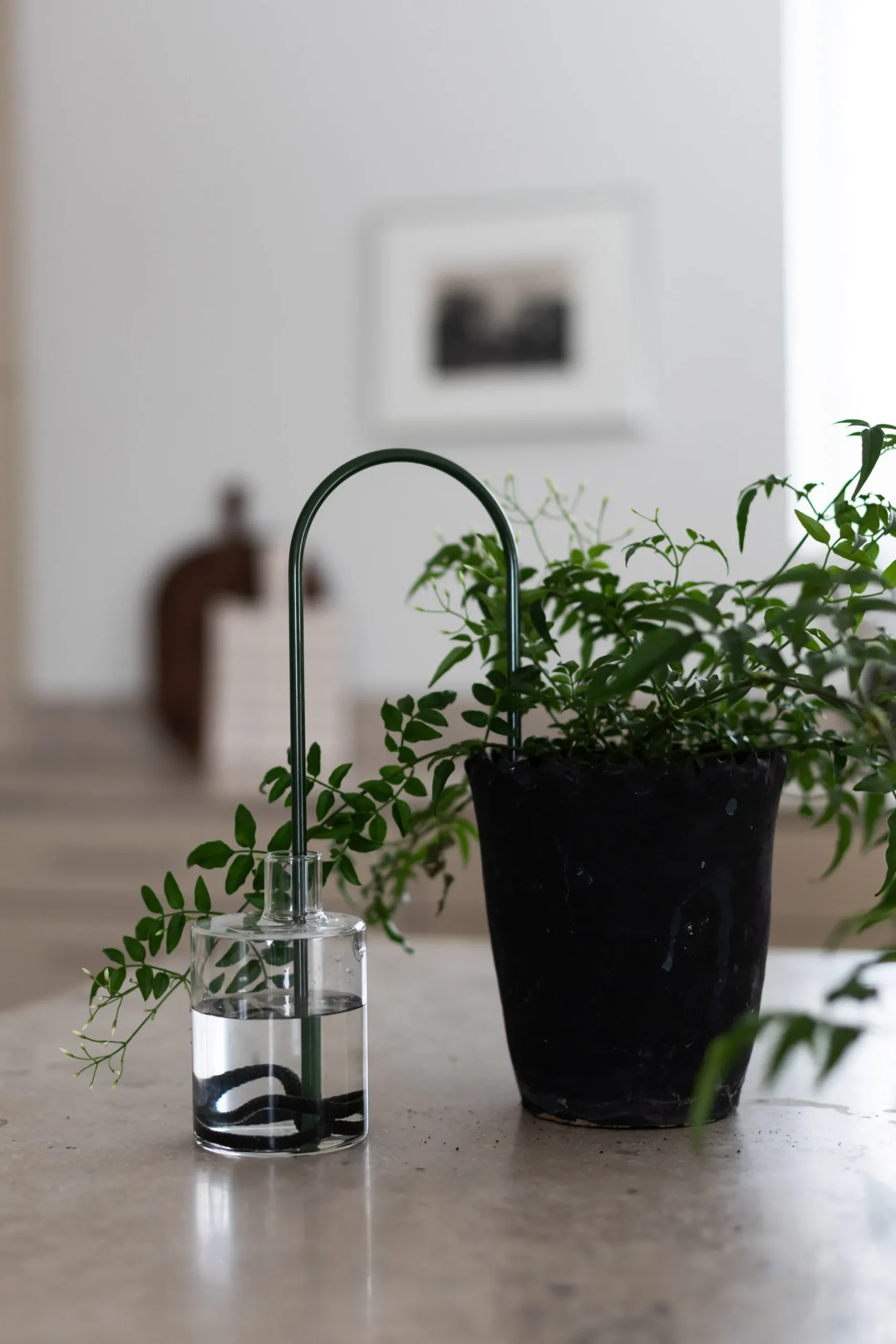 Selvvanding^PLANT Straws, Grøn